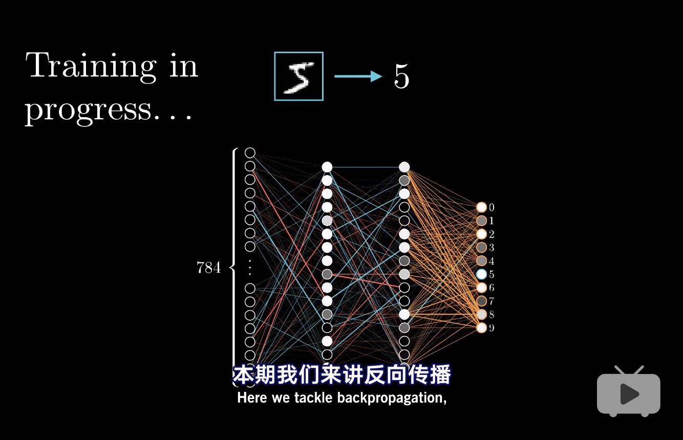 我在 B 站学习深度学习（生动形象，跃然纸上）