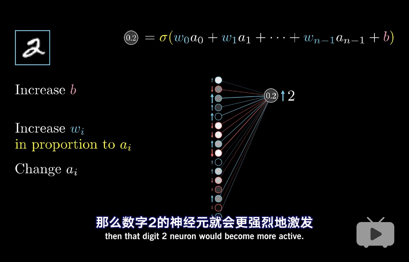 我在 B 站学习深度学习（生动形象，跃然纸上）